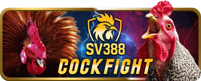 Chính Sách Bảo Mật S66